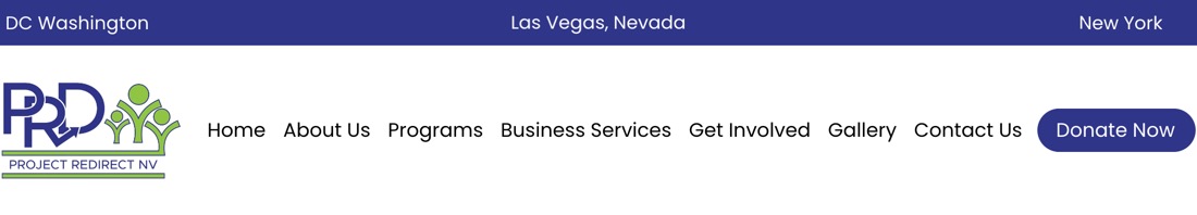 PROJECT RE-DIRECT INC